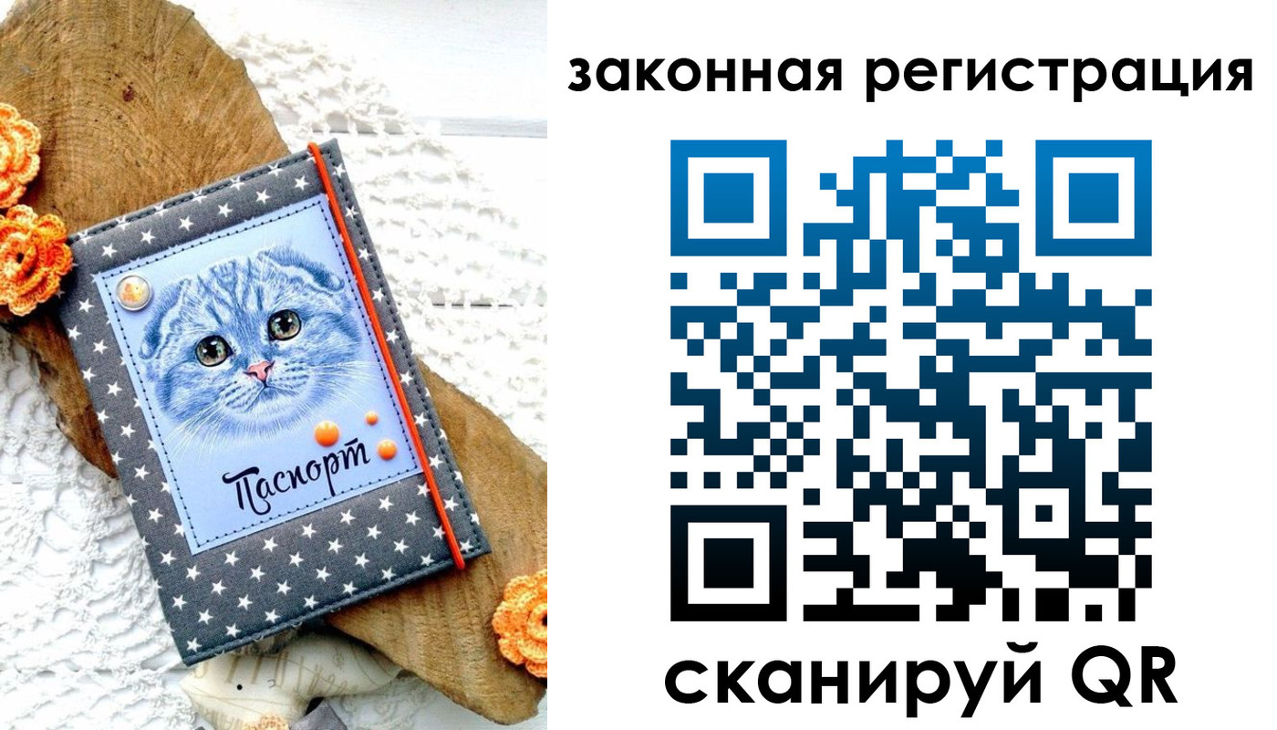 регистрация в Далматово